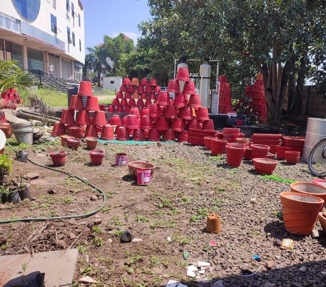 Cement pots display